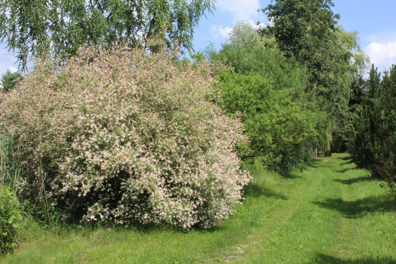 Domek W Nabo Villa Załuski Esterno foto